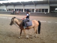 /album/the-best-pony/camera-marjan-1158-jpg/